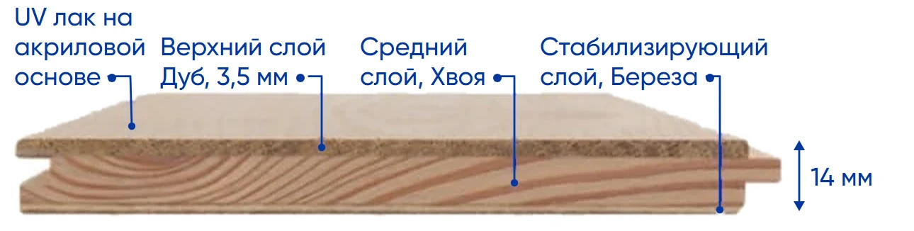 Конструкция: Трёхслойная: дуб + хвоя + берёза